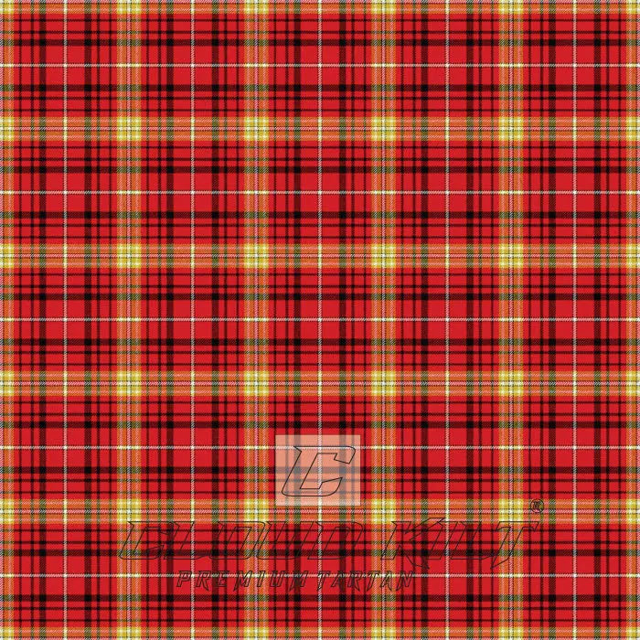 Avalon Stewart House Premium Tartan Kilt CLOUD KILT